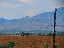 Fotografía de actividades agrícolas en el municipio de El Llano.