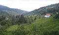 The Vosges mountains near La Bresse