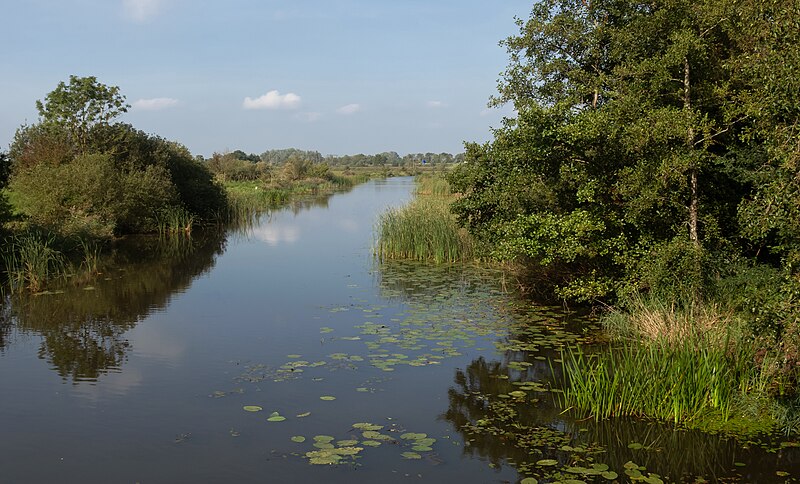 File:Weststellingwerf-tussen Wolvega en De Blesse, de Linde IMG 8501 2023-09-11 16.29.jpg