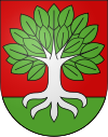 Wappen von Buchholterberg