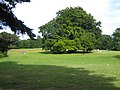 View over Beijers park