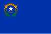 Bandeira de Nevada