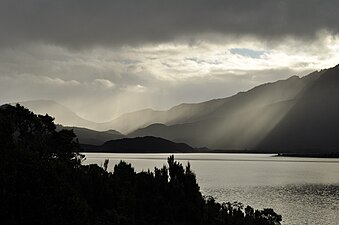 View across Lake Burbury in the late afternoon from a rest area along the Lyell Highway