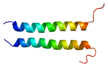 Protein CD247 PDB 2hac.png