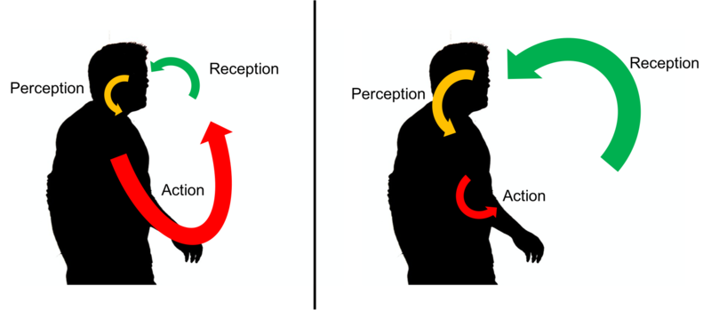 File:Reception Perception Action.png