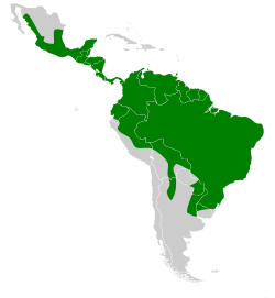 Distribución de S. lilium