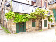 Glycine de 160 ans, classée arbre remarquable des Côtes-d'Armor, 1,20 m de circonférence.