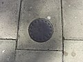 Ornate coal hole cover