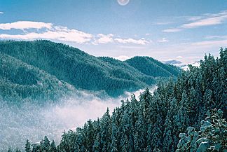 Meschetisches Gebirge bei Abastumani im Winter