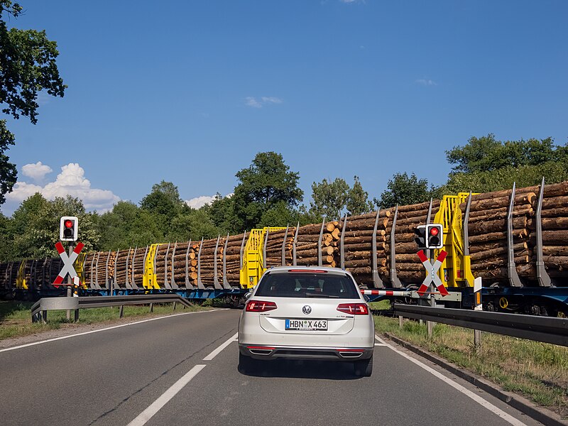 File:Bahnübergang Zollbrück Holztransport-20230708-RM-172944.jpg