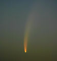 McNaught