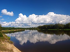 Na skarpie - panoramio.jpg