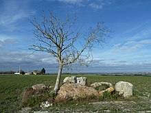 Ang Dolmen Du Griffier sa Antonigné