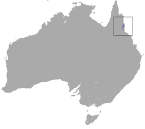 Description de l'image Lemur-like Ringtail Possum area.png.