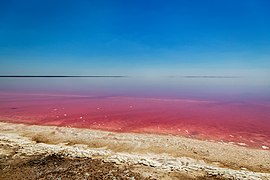 Води Сивашу