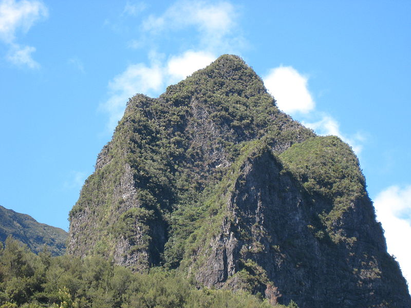 File:Bonnet de Prêtre, closeup.jpg