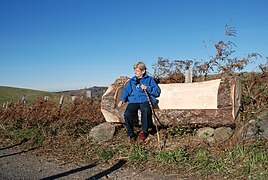 Banc taillé dans le tronc d'un épicéa par Hervé Palisse, chemin de la Serre de Bourréac