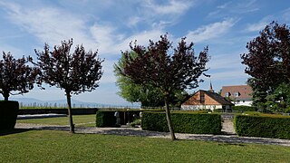 EtoyCemetery RomanDeckert19052022-01.jpg