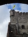 Gravensteen