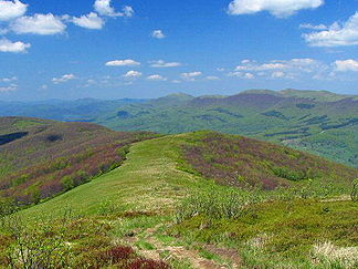 Waldkarpaten, Bieszczady, Polen