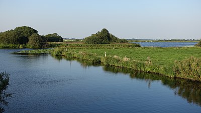 Moorlandschaft im NSG "Breites Wasser"