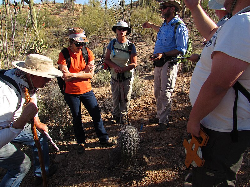 File:Members of REI surveyed saguaros on Plot 38 for the Centennial Saguaro Survey program. (3c9fdc98-1dd8-b71b-0bd7-a49d41caf413).JPG