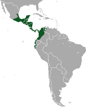 Description de l'image Northern Tamandua area.png.