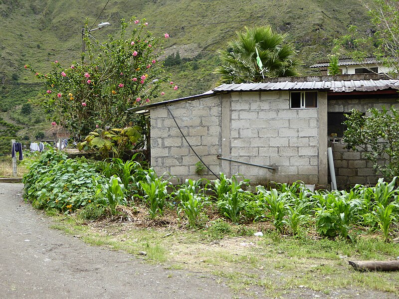 File:Baños Ecuador719.jpg