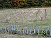 Caughnawaga Indian Village Site