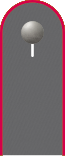 Schulterklappe der Jacke des Dienstanzuges für Heeresuniformträger der Panzertruppe.