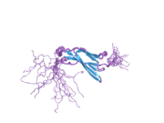 2dbj: Solution structures of the fn3 domain of human Proto-oncogene tyrosine-protein kinase MER precursor