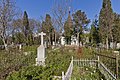 Old city cemetery