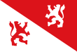 Vlag van Koog aan de Zaan