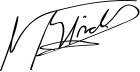 File:Néstor Kirchner Signature.svg