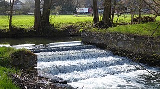 Flussteilung bei Binsfeld