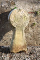 Hilarri diskoidala