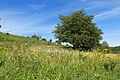 Rösberg bei Rommerode