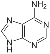 Structure of Adenine