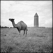 Iran, Gonbad-e Qabus, 1939-1940