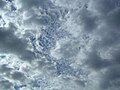 Cirrocumulus lacunosus behind Stratocumulus perlucidus