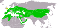 Distribución do moucho común