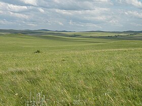 Steppe south of Siberia, Altai Krai.