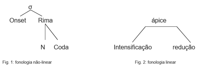 Comparação entre modelo linear e não linear da sílaba