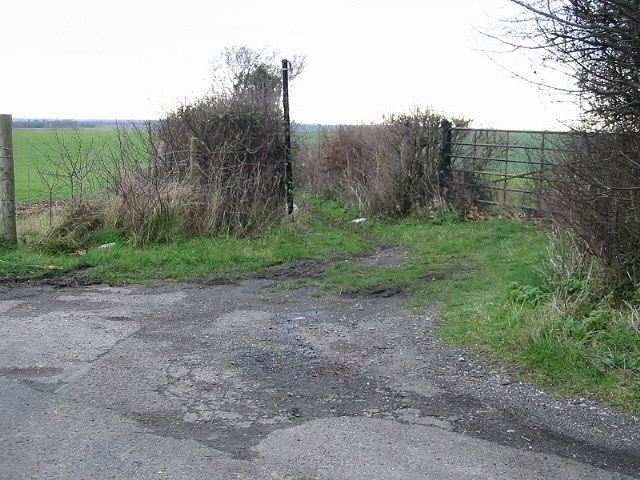 File:Bridleway at Oxenden Shaw. - geograph.org.uk - 323044.jpg