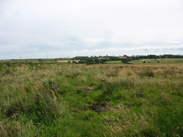 File:Hay meadows on land fringing the marsh - geograph.org.uk - 515476.jpg