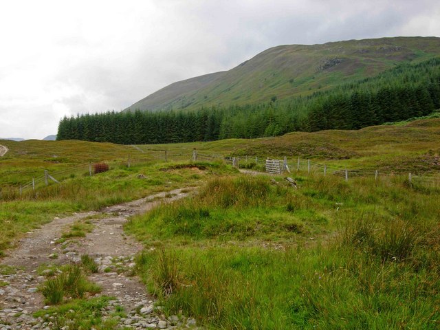 File:Track beyond Achnanellan.jpg