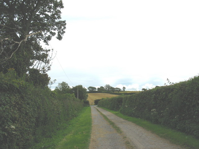 File:Minor road linking the A5 and the B5420 - geograph.org.uk - 514781.jpg