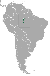 Distribución del tití dorado y blanco