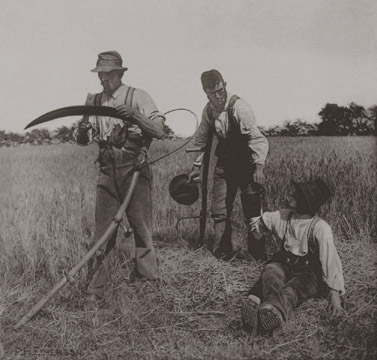 File:In The Barley Harvest.jpg