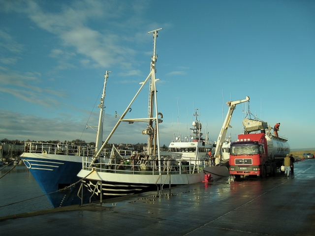 File:Landing the catch, Bangor - geograph.org.uk - 1125443.jpg